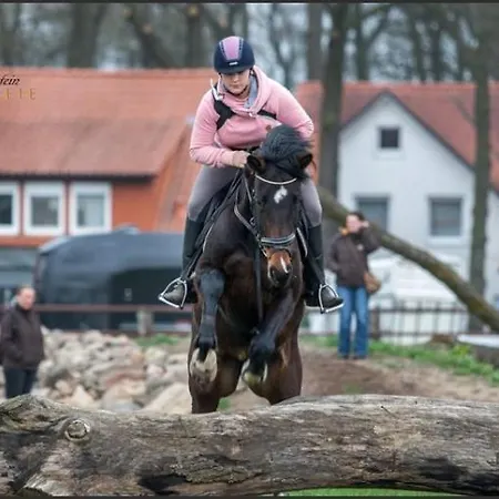 Appartement Landidyll